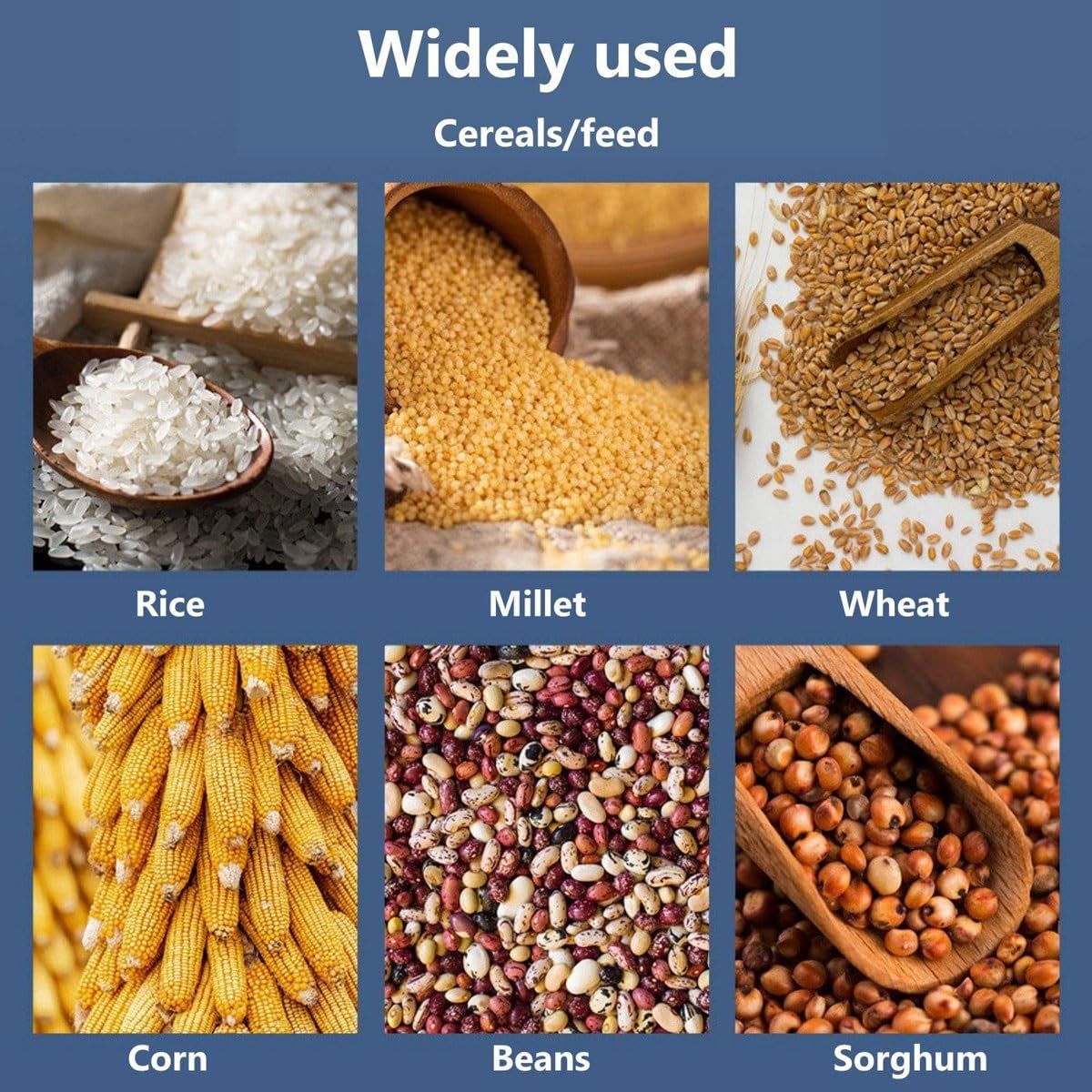 Grain Hardness Tester,Mini Grain Durometer,Digital Grain Hardness Grain Tester,Cereals Particle Analyzer Maximum Load Value 20kg 196N Load Division Value 0.01kg 0.1N