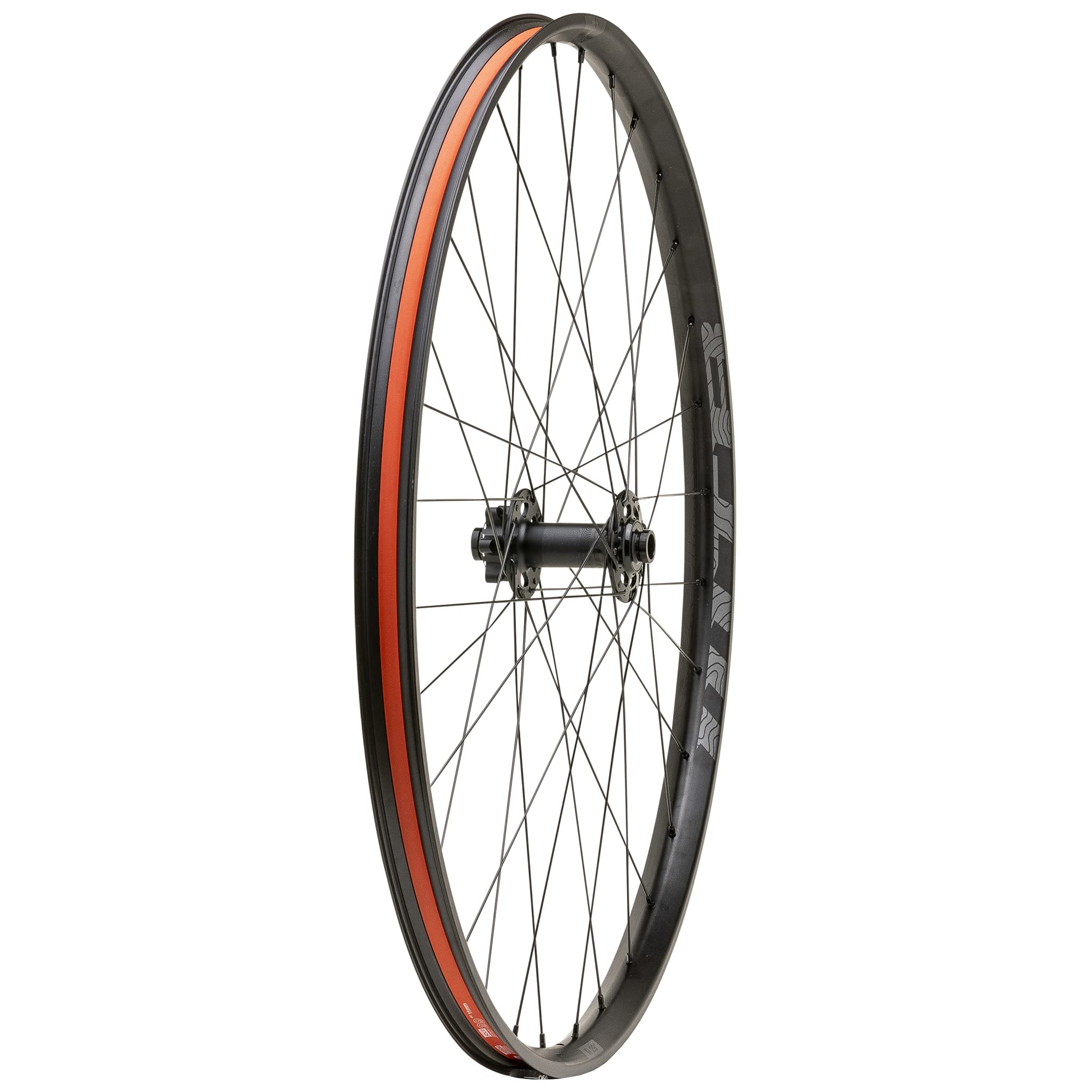 WtbProterra Tough i30 x 29 Bike Wheel, 110 x 15mm, 32h, 6-Bolt, DB