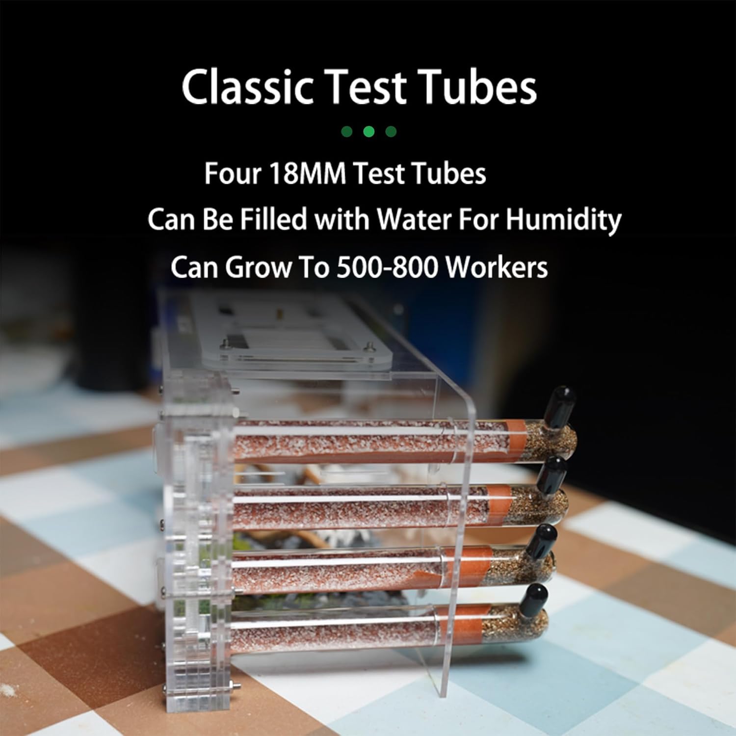 Ant Nest for Live Ants - for Small Ant Clony - Natural Learning Toy - -Great Outworld