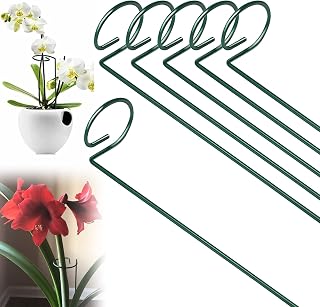 CUNQN Plant Support Stakes Metal Support Stake Plant Cage Support Ring Garden Stakes Single Stem Plant Stick Support 40cm for Tomatoes Peony Lily Rose Flowers Amaryllis 6PCS