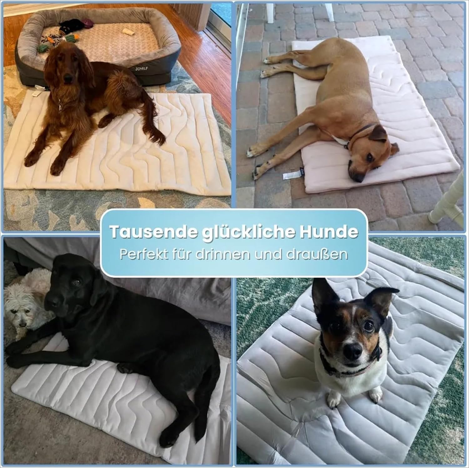 SWZEC Dr.Pfoten Pfotenchill™ Die Innovative Kühlmatte Für Hunde