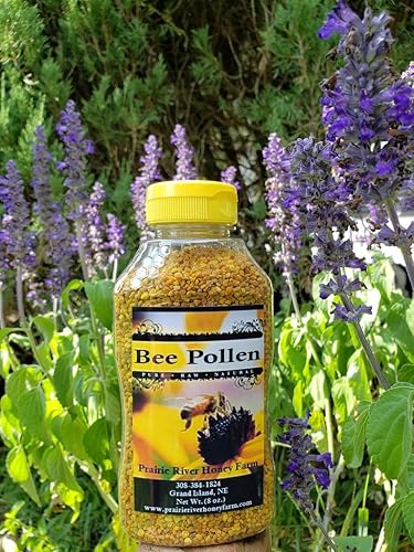 Polen de abeja fresca Raw Nebraska Bee Polen 8oz tarro