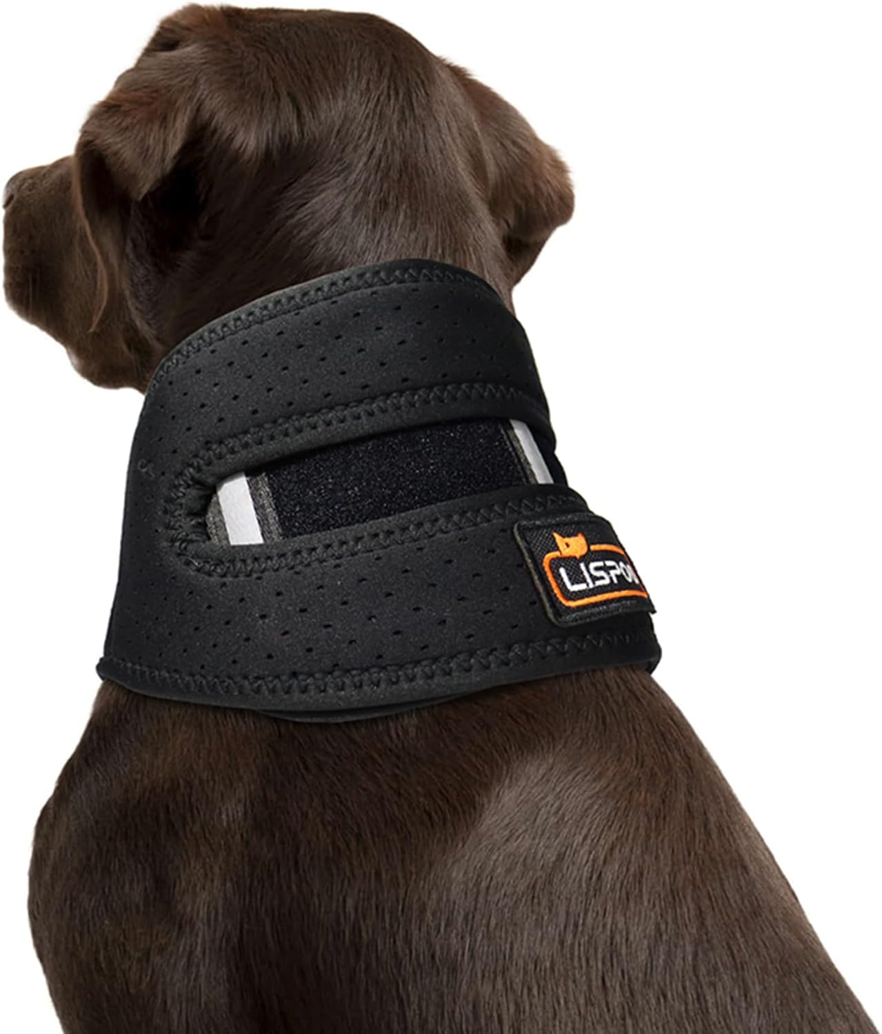 Dog Neck Brace Offers Support for Pets Suffering from Intervertebral Disk Disease(IVDD),Cervical Vertebral Sprains and Instability-Specialized Neck Brace Specifically for Dogs(Size S)