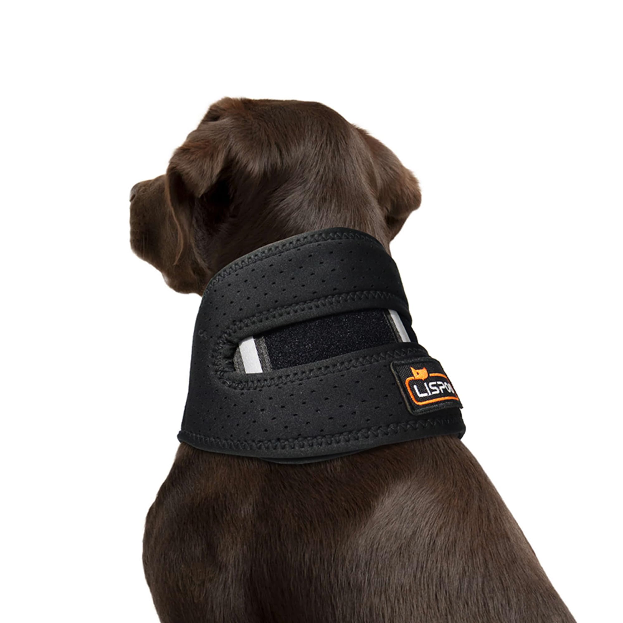 BUVUB - Soporte Para Cuello Para Perro Con Esguinces Vertebrales Cervicales, Inestabilidad, Enfermedad Intervertebral Del Disco (IVDD) Para Mascotas, Cuello Cervical Para Perro (estrecho L