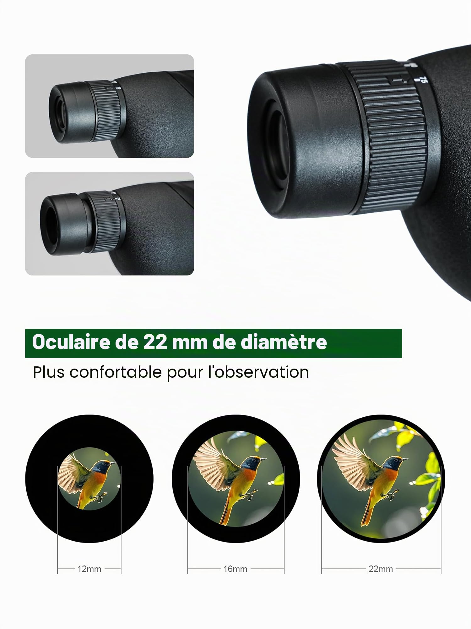 Télescope monoculaire à grossissement élevé HD 25-75 x 60 Multiplicateur variable Low Light Vision nocturne pour tir à la cible, chasse, observation des oiseaux, faune, paysage