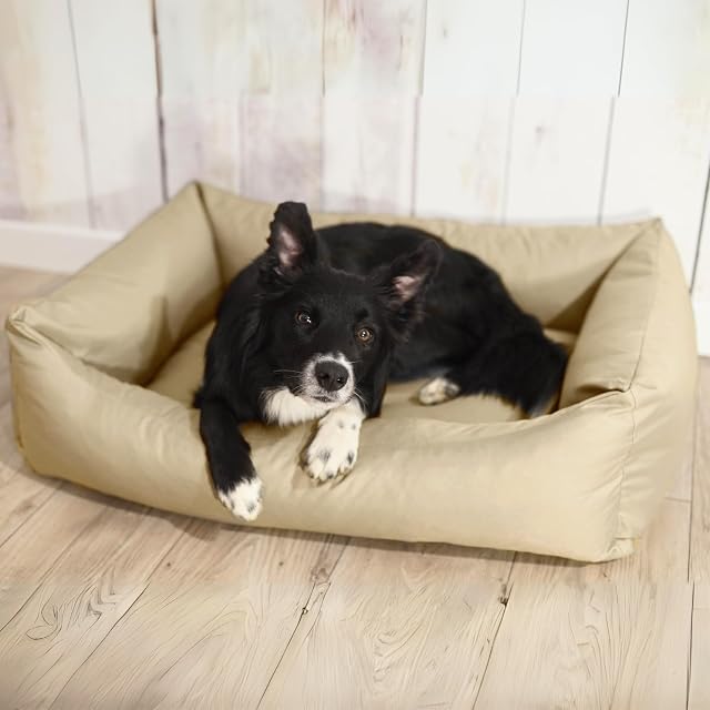 Foto 2 de 8 de 4L Textil Otto Cama Perro Grande, cojín para Perros, Cama para Perros, Funda extraíble Perros