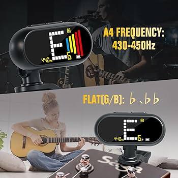 Amazon.com: EX Professional Rechargeable Clip-On Guitar