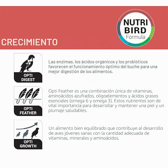 Foto 3 de 8 de VERSELE-LAGA - NutriBird A21 - Alimento para crías de pájaros criadas a Mano - Amazonas, cacatúas, cotorras