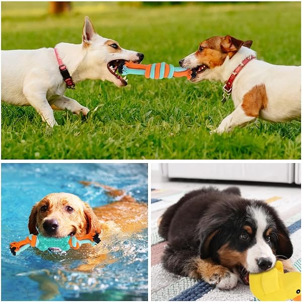 SanRes Juguetes para Perros,20 Piezas Juguete para Morder para Perro,Juguetes para Cachorros Interactivo,Algodón Cuerda Juguete para Cachorros para Perros pequeños/Medios/Grandes Limpiar - 2