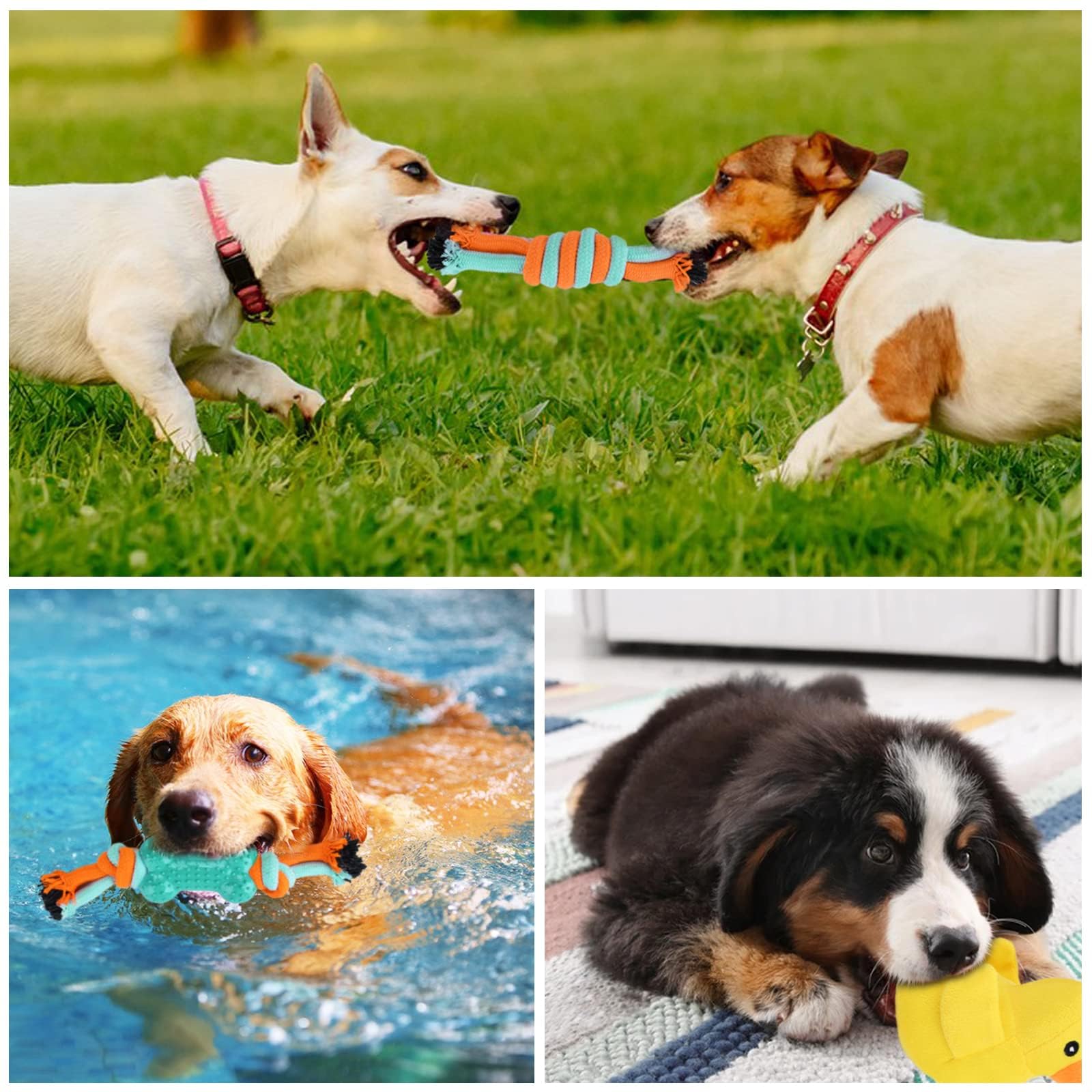 Juguetes para Perros,20 Piezas Juguete para Morder para Perro,Juguetes para Cachorros Interactivo,Algodón Cuerda Juguete para Cachorros para Perros pequeños/Medios/Grandes Limpiar - 3