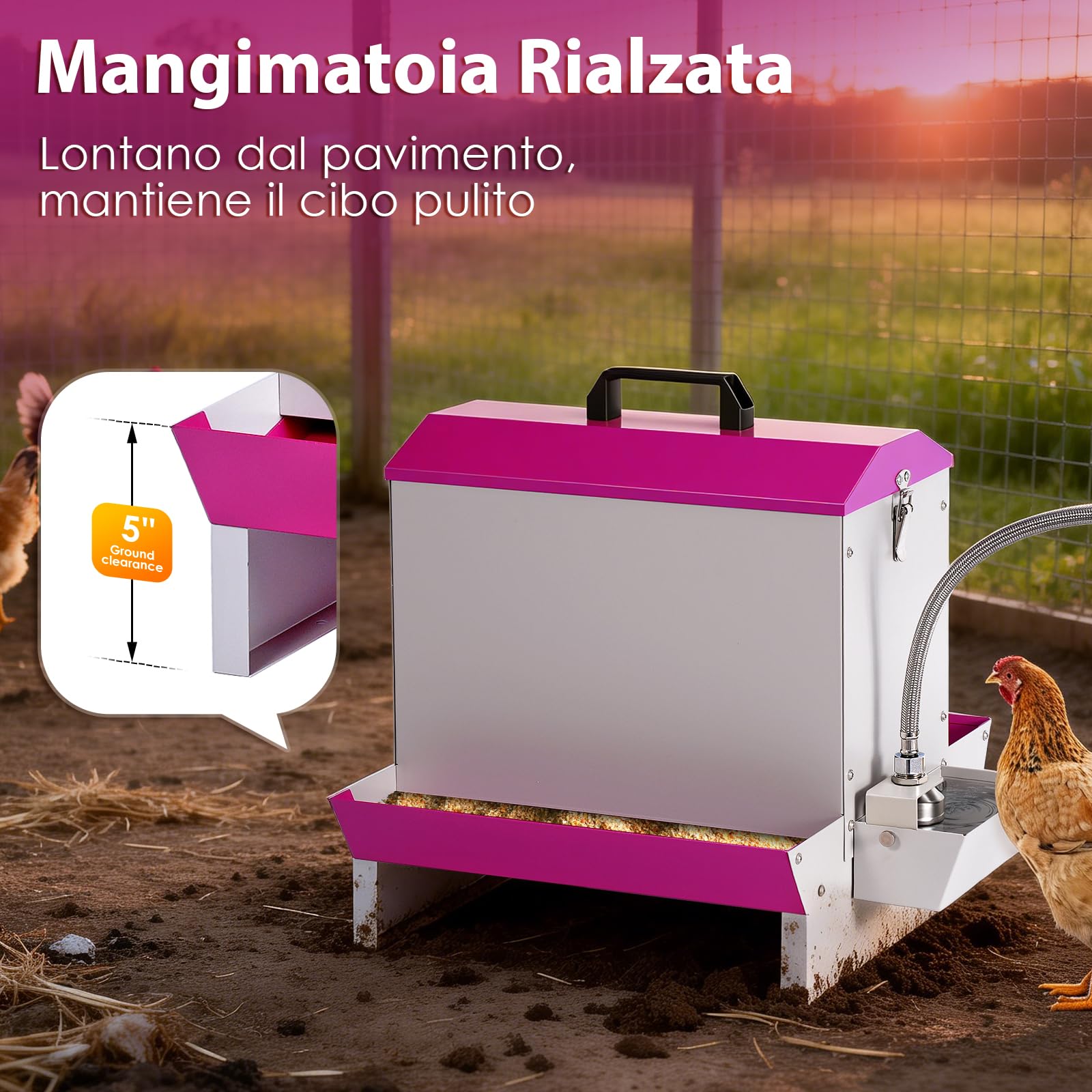 Mangiatoia e abbeveratoio automatico 2 in 1 per polli, 5 kg, in metallo