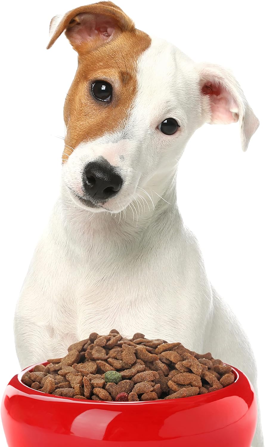 Pooch Nooch XL Size Premium Nutritional Yeast Flakes Gourmet Dog Food Topper - Healthy Flavor for All Dogs - Vet Approved Human Grade Ingredients, 7.5 Ounce Shaker Jar (100 Servings)