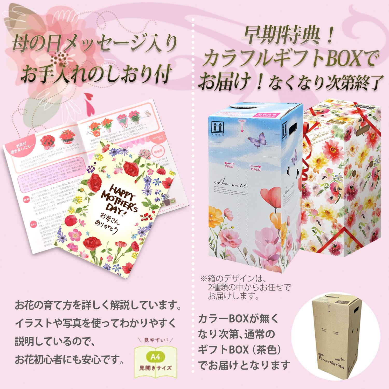 Amazon.co.jp: 花のギフト社 母の日 花 カーネーション 母の日ギフト