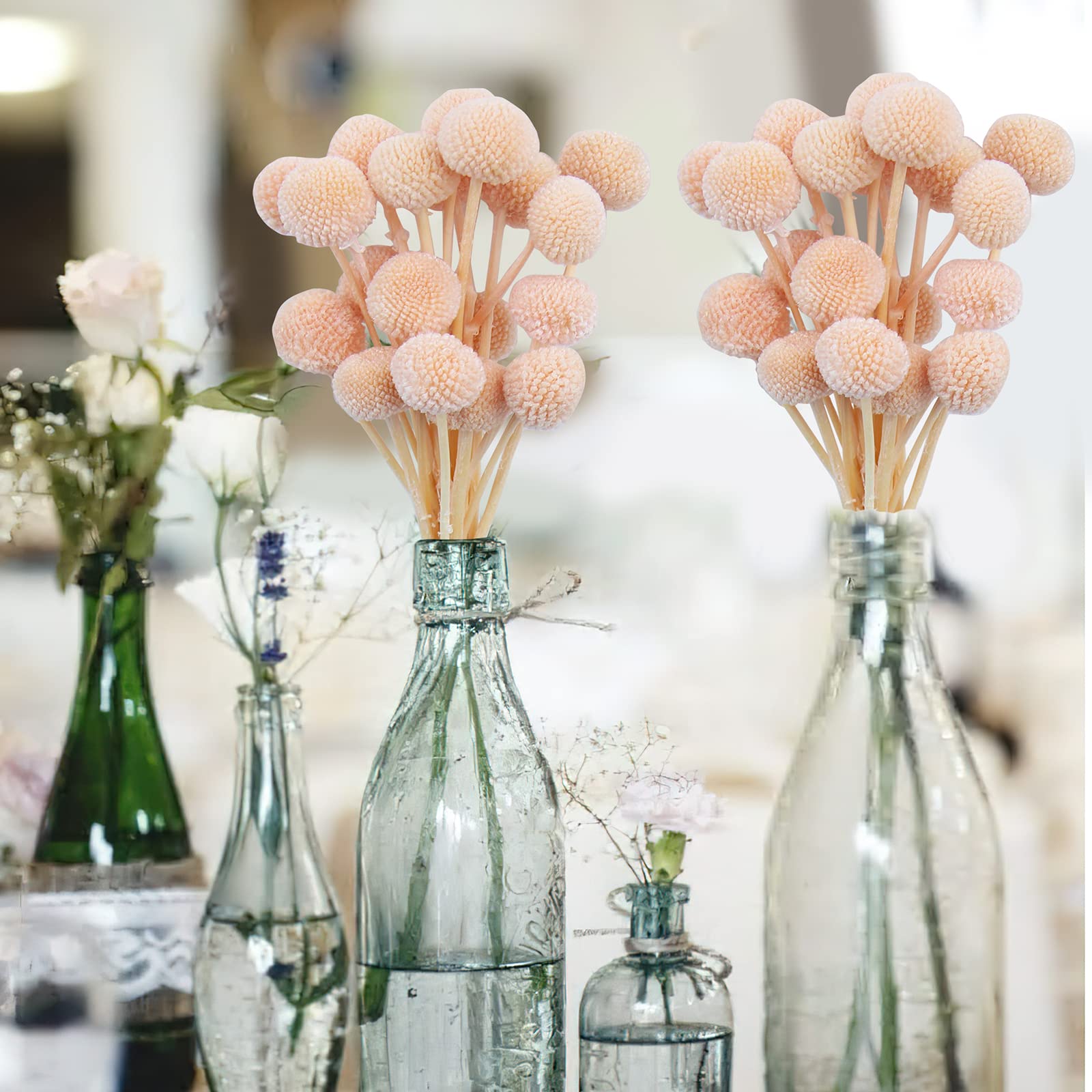 CISDUEO 20 Stück getrocknete Blumen, Craspedia, Billy Balls, Blumen, Billy Buttons, Rosa, getrocknete Blumenstrauß-Arrangements für Hochzeit, Zuhause, hohe Vase, Boho-Dekor