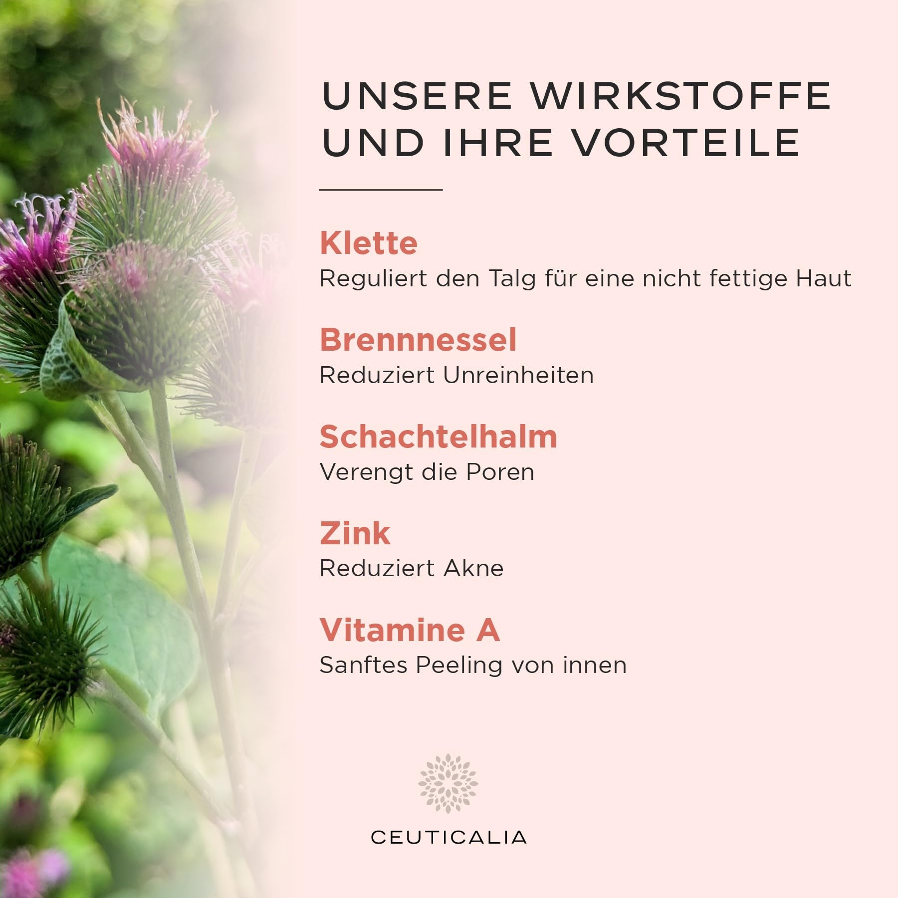 Nahrungsergänzungsmittel Haut - Akne, Mitesser, ölige Haut, Pickel, Unreiheiten Kapseln - Männer, Frauen - Zink, Vitamin A, Brennessel, Arctium, Schachtelhalm - 180 Kapseln, 90-Tage-Kur