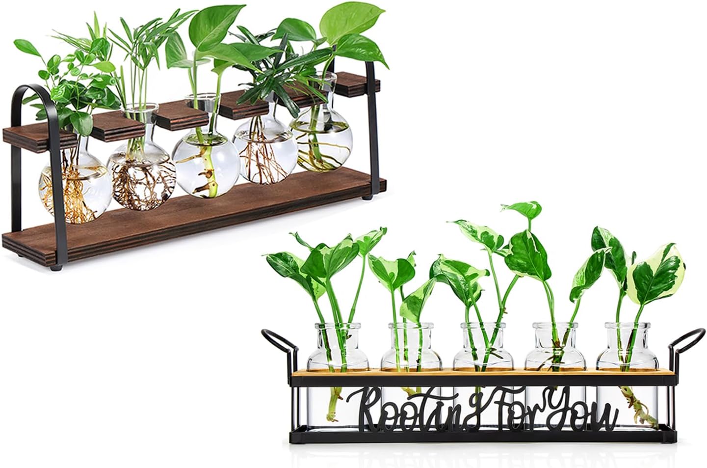 THYGIFTREE Plant Propagation Stations, Desktop Retro Plant Terrarium Vase for Indoor Hydroponic Flowers, Tabletop Glass Planter