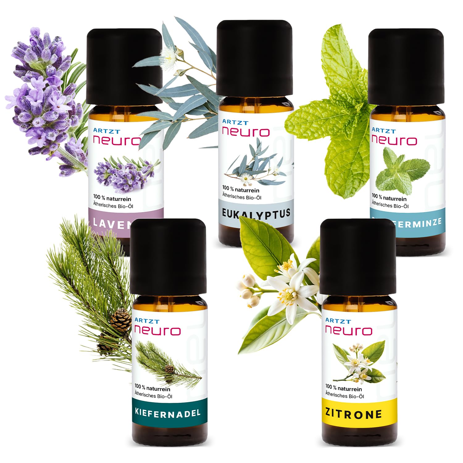 Duftöl Set 5 x 10 ml | Natürliche ätherische Öle Bio | Ätherische Öle naturrein | Riechtraining Set | Geruchstraining Set | Smell Training Kit | Aromatherapie | Essential Oils | Inkl. Etui