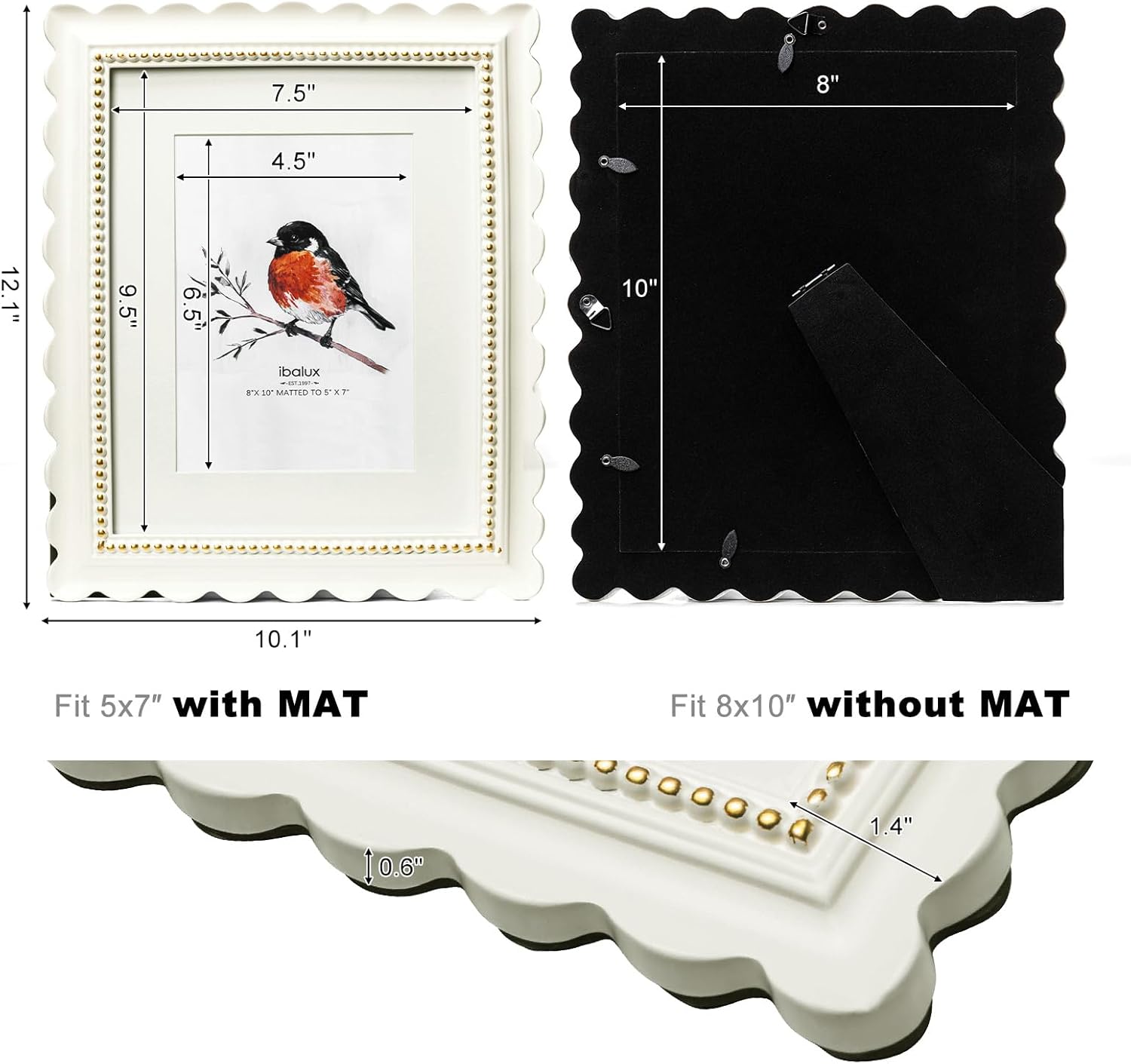 8x10 Off-White Scalloped Picture Frame with Gold Beaded Trim, Resin with Real Glass, Matted to 5x7, Vertical and Horizontal for Tabletop or Wall Hanging