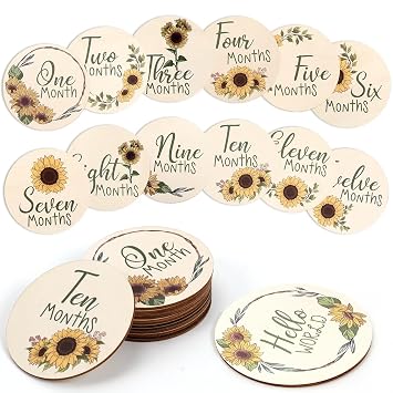 Baby Monthly Milestone Signs - 13 Pack Wooden Baby Milestone Cards for 1-12 Months, Newborn Photography Props with Hello World Discs, Gender Neutral Baby Announcement for Boy Girl Age Shower Gifts