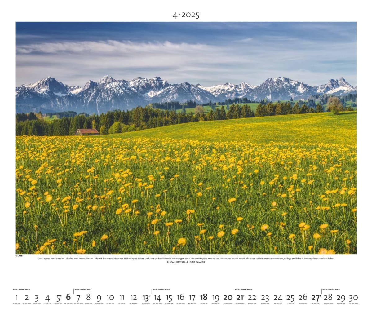 PALAZZI - Naturland Deutschland 2025 Wandkalender, 60x50cm, Posterkalender mit schönen Bildern aus Nationalsparks und Naturschutzgebieten, Felder, Wiesen und Wälder
