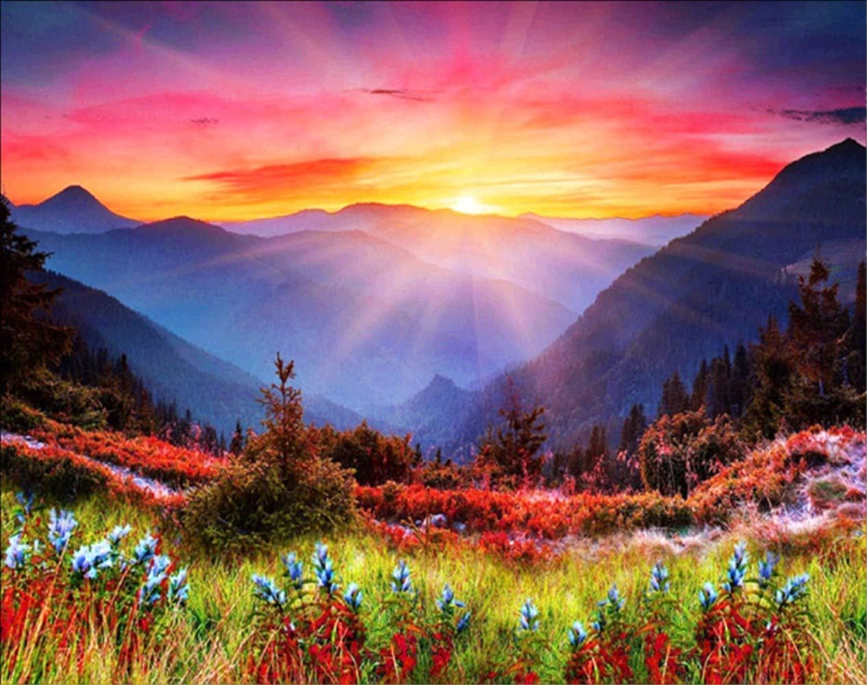 pigpigboss Mountain Flower Sunrise Diamond Painting 5D Full Diamond Embroidery Arts, Crafts, Sewing Cross Stitch Kits - Crystal Diamond Dots Kits for Adults (15.7 x 11.8 inches)