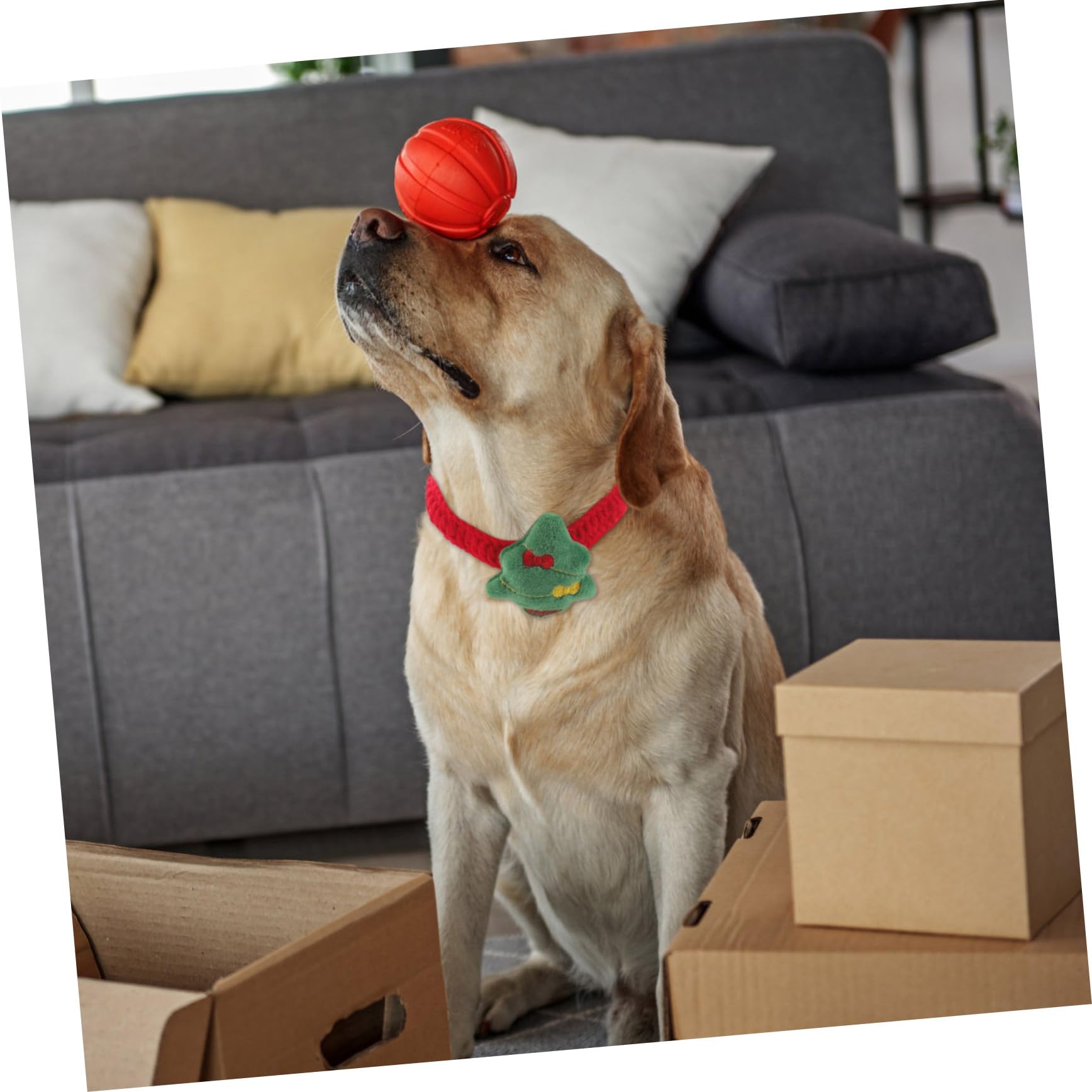 BESPORTBLE Collier de Noël Tricoté pour Chat Ajustable pour Chiot Collier pour Animal de Compagnie avec Noeud