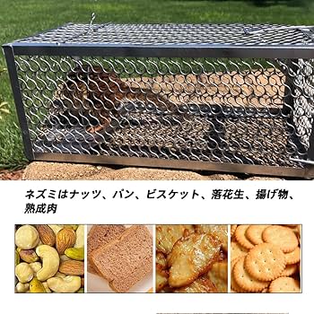 Amazon.co.jp: skycabin ねずみ捕獲カゴ 角型 大 : DIY・工具・ガーデン Amazon.co.jp: skycabin ねずみ捕獲カゴ 角型 大 : DIY・工具・ガーデン