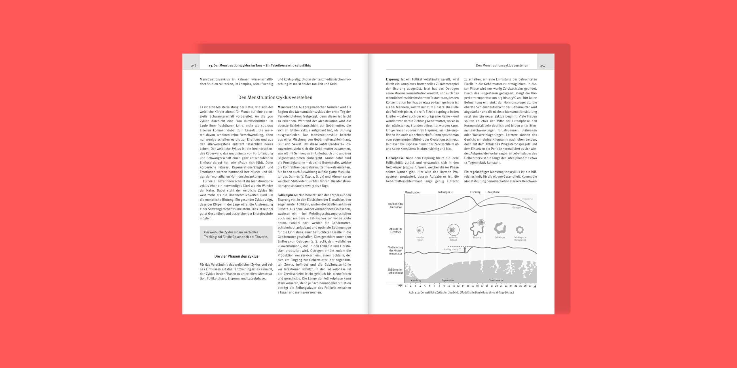 Tanzmedizin in der Praxis: Anatomie, Prävention, Trainingstipps