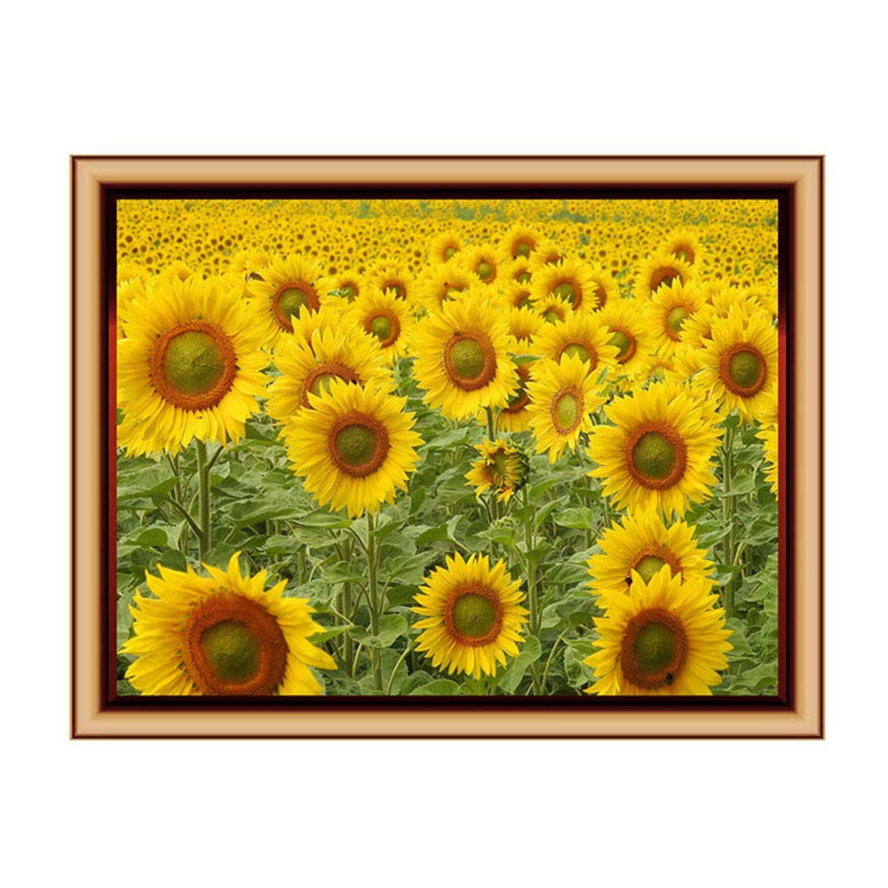 DNVEN 23 inches x 18 inches High Definition Sunflower Fields Wall Decals Stickers Fake False Window Frame Mural Bedroom Living Room Playroom Wall Decals Stickers