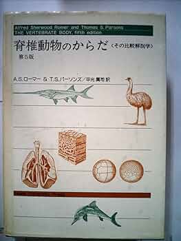 71bBiSq1F6L._UF350,350_QL50_.jpg
