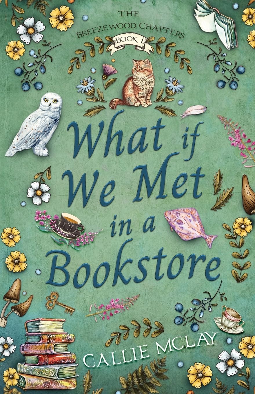 What If We Met In A Bookstore: 1 (Breezewood Chapters)
