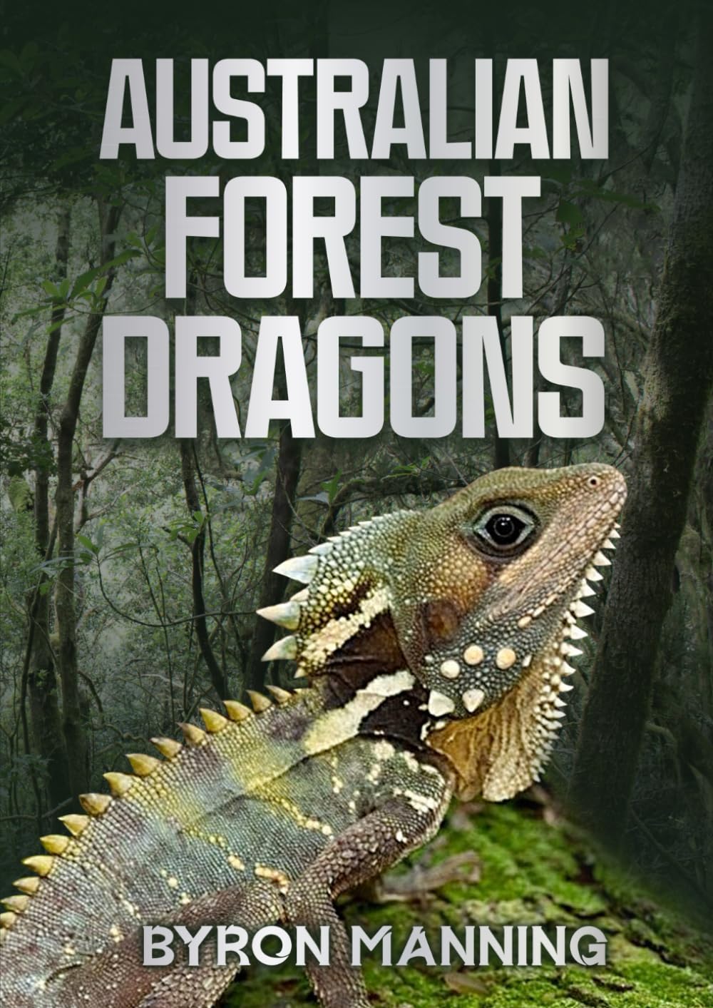 Australian Forest Dragons