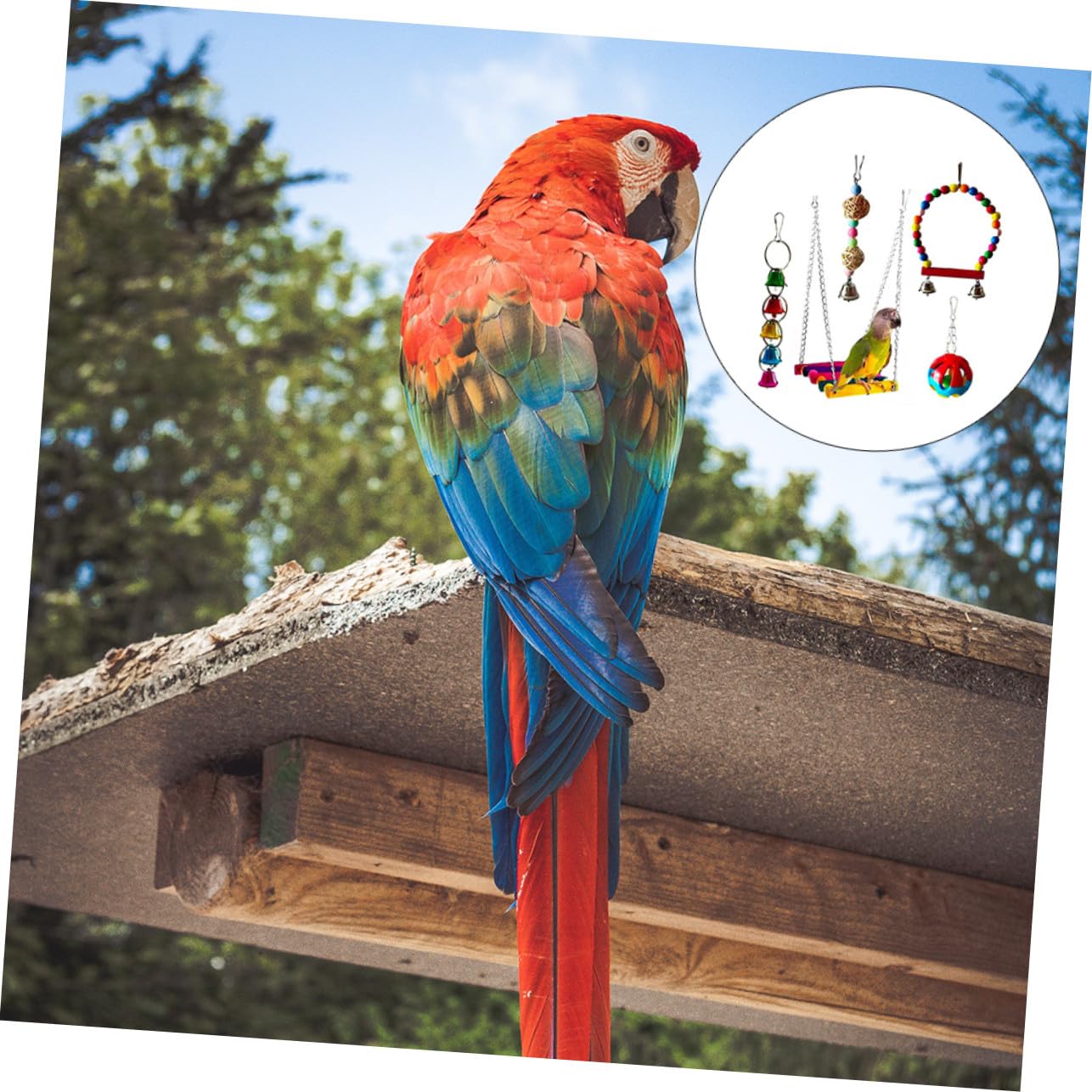 SOIMISS 5 pièces Set de Jouets à Mâcher pour Perroquets Ensemble de Jouets pour Oiseaux Petits et Moyens et pour Stimuler Intelligence et Activité des Perruches