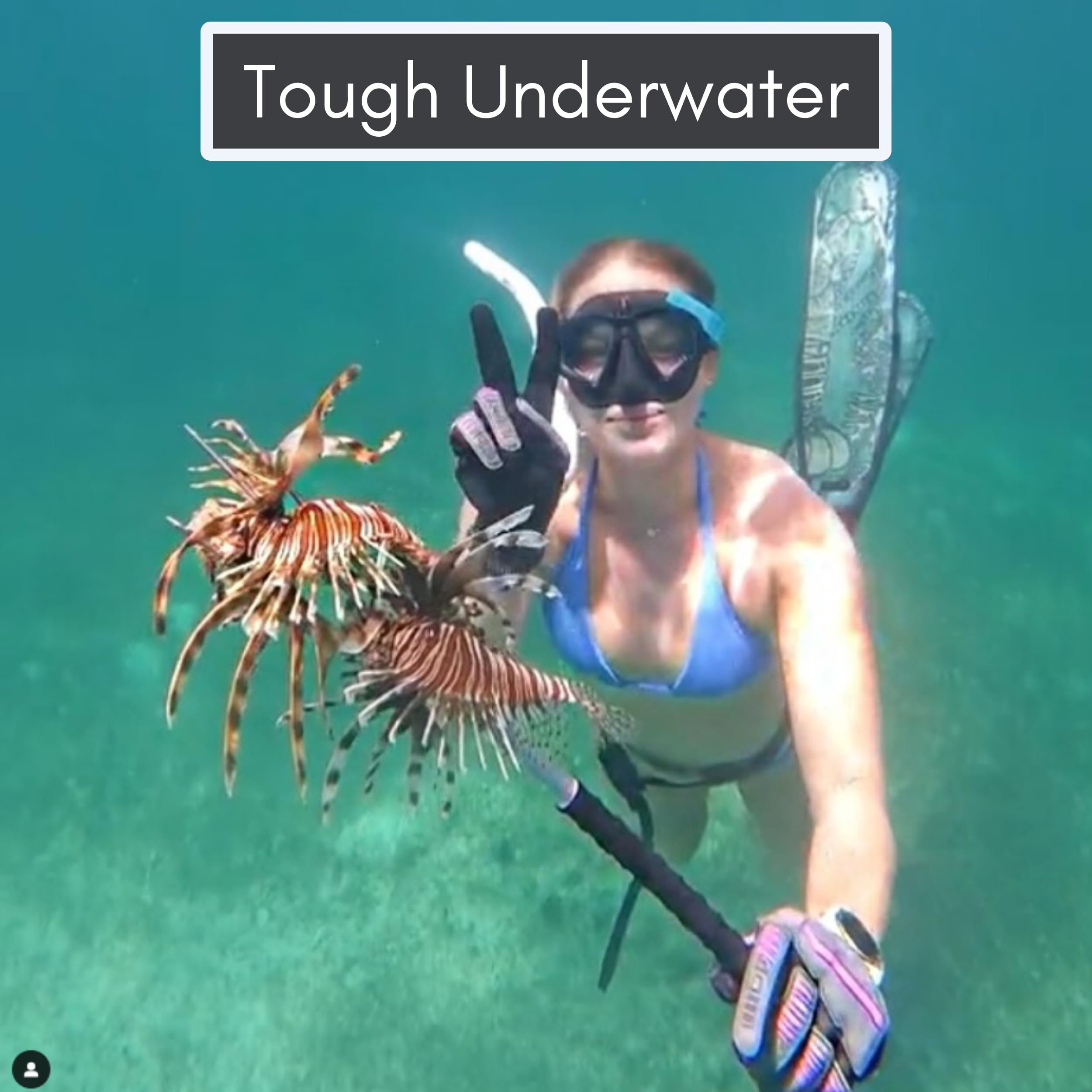 Aquatic Hunt - Premium Protection Pair of Dive Gloves for Hunting Lionfish, Lobster, Crab, Spearfishing, Working Underwater (Medium)