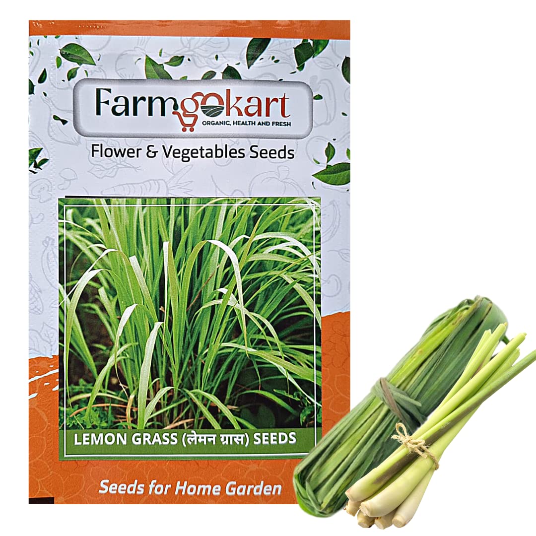 Farmgokart |Pack of 200 Nos | LEMON GRASS SEEDS |Best Suitable For Terrace And Home Gardening |Quality Herb Seeds Pouch| (B09MZTF55T) Amazon Price History, Amazon Price Tracker