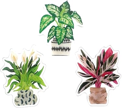Decorative Plant Refrigerator Magnets, Houseplant Design, Set of 3, Clear Acrylic Magnet Embedded Inside 3