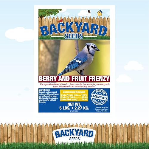 Miniatura 4 de Backyard Seeds Berries 'N Fruit - Semilla de pájaro (5 libras)
