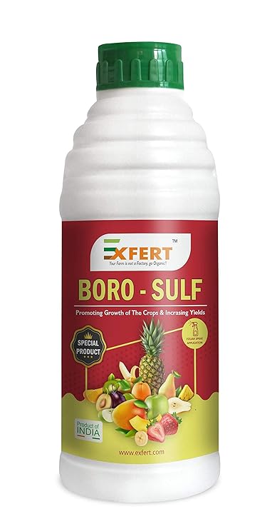 Exfert Boro Sulf (Organic Plant Growth Promoter with Boron Sulphur Amino Acid and Proteins Base Liquid Fertilizer) for Plant in Horticulture, Hydroponics, Green House 250ml