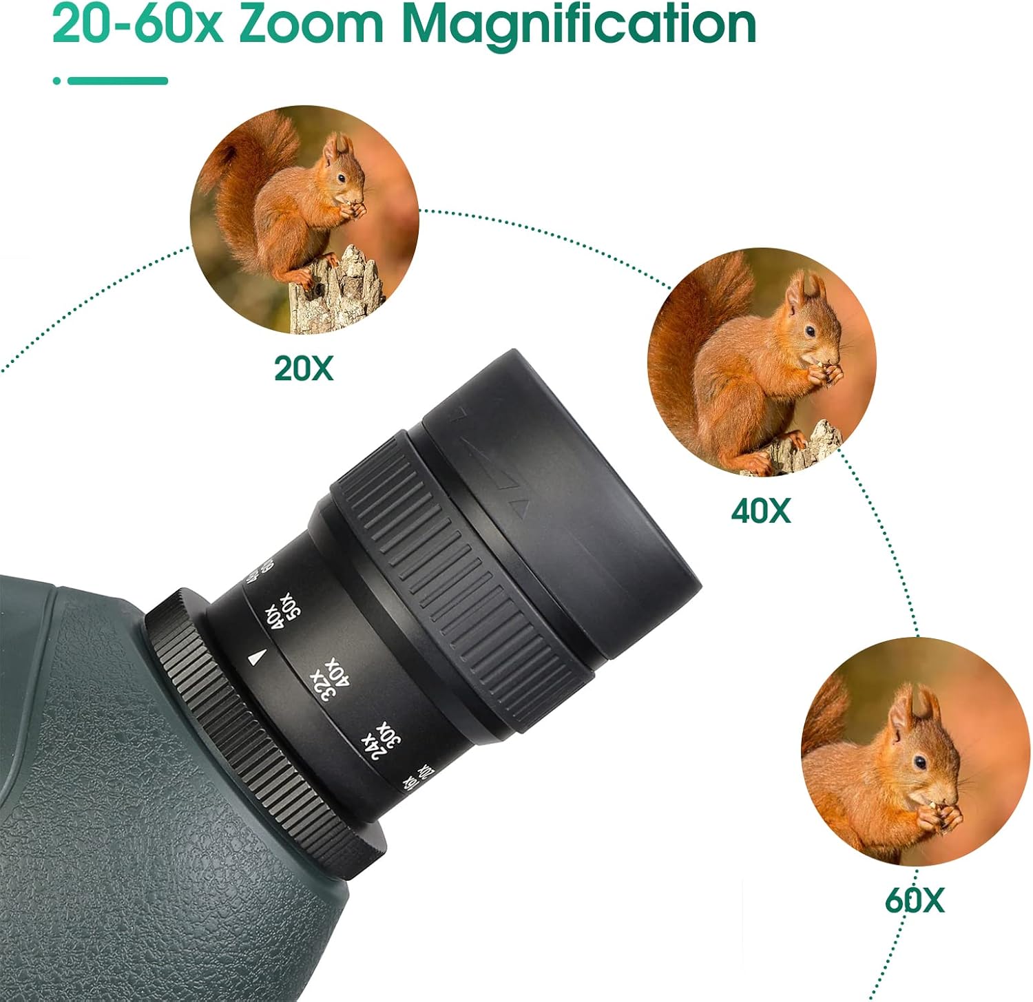 Close-up of the SVBONY SV406P spotting scope's eyepiece, showing the 20-60x zoom magnification ring with examples of magnified squirrels at different zoom levels.