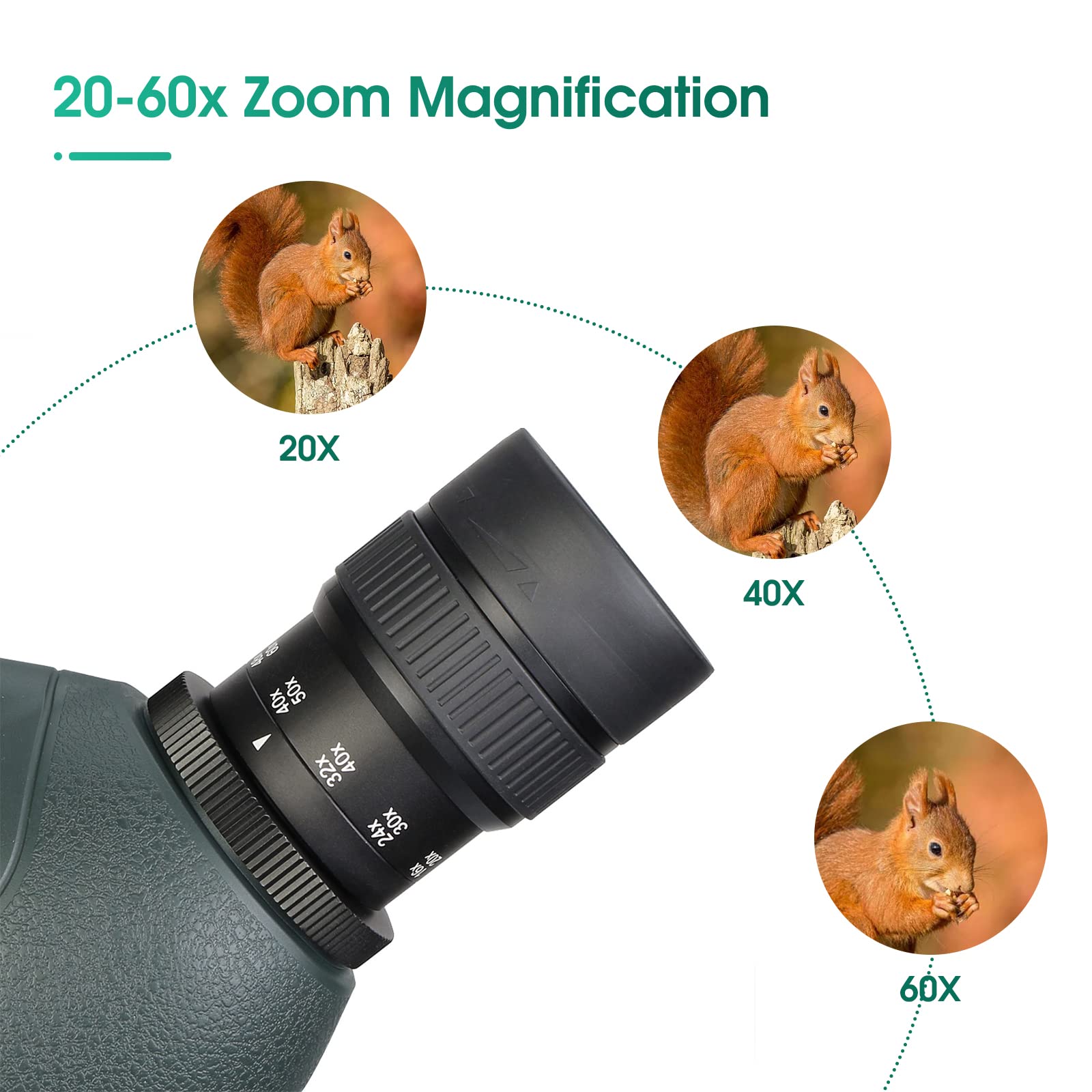 Amazon.com: SVBONY SV406P 20-60x80 ED Spotting Scope, with