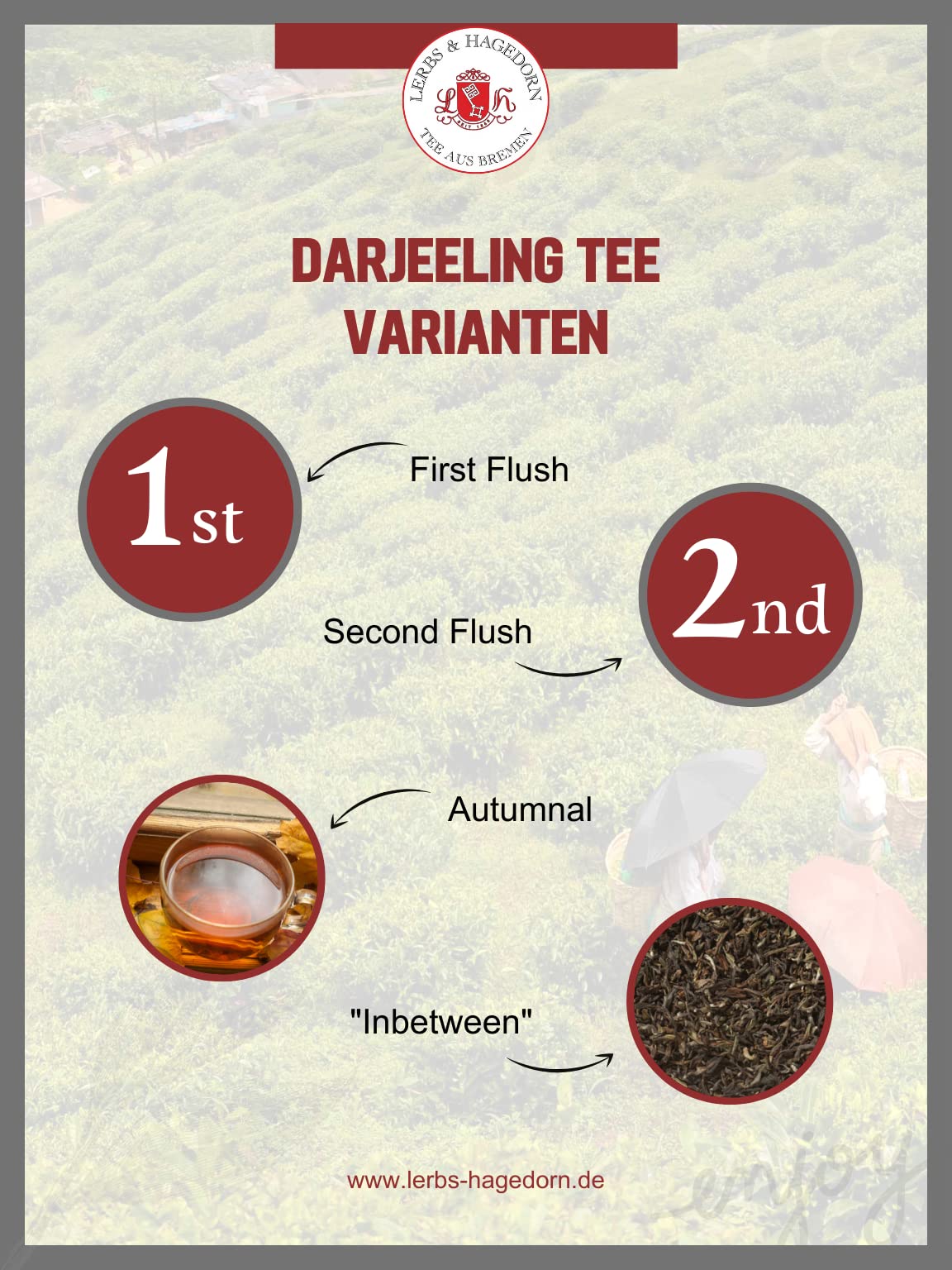 Lerbs & Hagedorn, Darjeeling Schwarztee FTGFOP1 Typ Seeyok Bio | Frisch, Mild, Blumig 2kg Ca. (160 Liter)