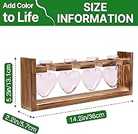 Vista 4 de Kit de terrario de plantas de corazón, regalo para mujeres, amantes de las plantas, jarrones de cristal