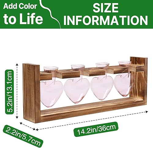 Miniatura 4 de Kit de terrario de plantas de corazón, regalo para mujeres, amantes de las plantas, jarrones de cristal