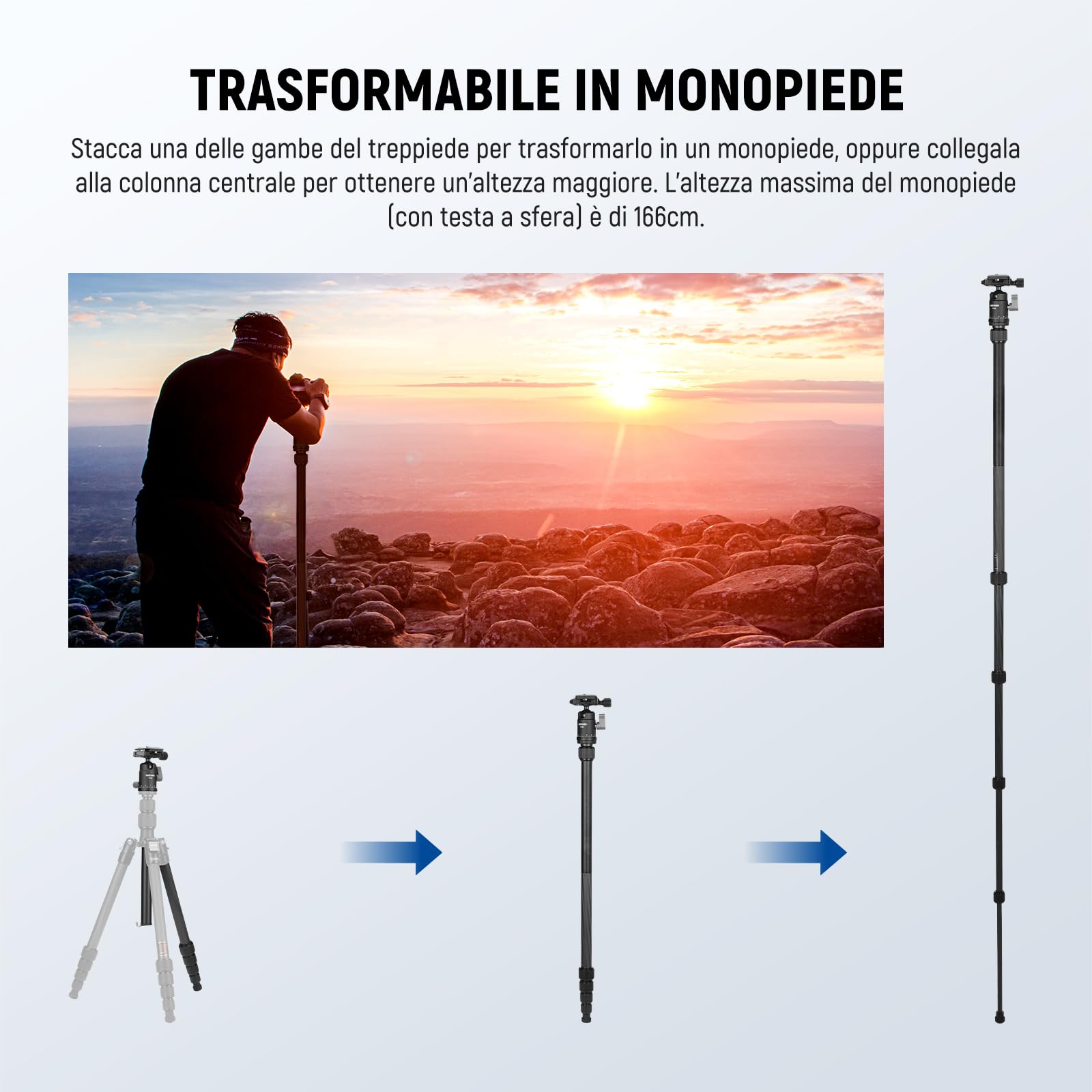 NEEWER Monopiede Treppiede Fotocamera in Fibra Carbonio, 65" DSLR Video Tripod da Viaggio Leggero, Testa Sfera a 360°, Piastra QR Antiscivolo, Asse Centrale Invertito, Gambe Reversibili, Max 6kg,TP39