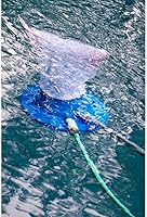 Vista 3 de Aquatix Pro Repuesto de bolsa de malla fina de alta calidad con cable de tracción y bloqueo para aspiradora de hojas de piscina, comedor, atrapador