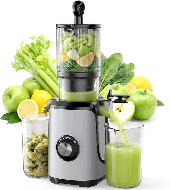 NEWBULIG Cold Press Juicer Machines for Vegetables & Fruits, Silver | Slow Masticating Juicer Machine with Reverse Function, 4.25" Feed Chute, Stops Oxidation and Easy to Clean
