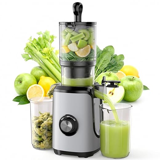 NEWBULIG Cold Press Juicer Machines, Masticating Juicer with High Juice Yield, Reverse Function, Stops Oxidation and Easy to Clean for Vegetables & Fruits, Silver