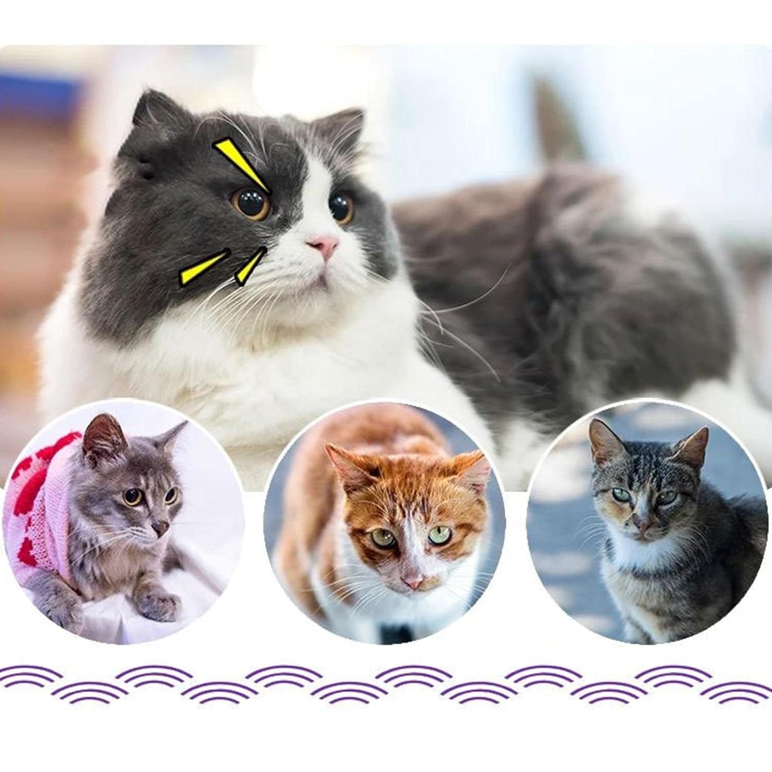 Cat Litter Box Deodorizer Beads, Cat Litter Box Odour Eliminator | Lavender 3