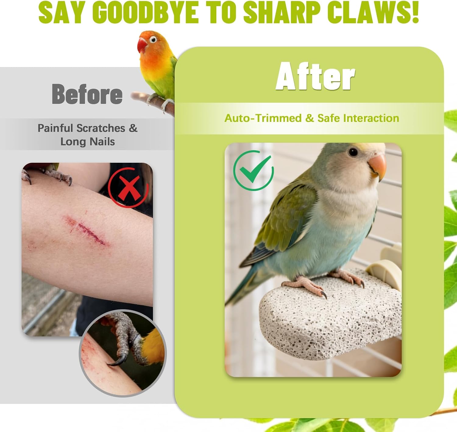 4 Pcs Lava Ledge Bird Perch Platform Set for Cages | Fits Small/Medium Parrots (Budgies, Conures) | Volcanic Calcium Stone for Beak Grinding & Claw Trimming | Tool-Free Mount