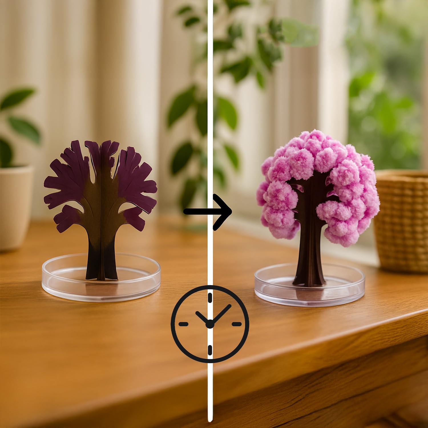 Arbre Magic Sakura 13.5cm - Cerisier Japonais Fleuri Décoratif